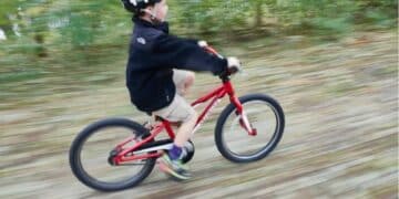 enfants faisant du vélo en forêt